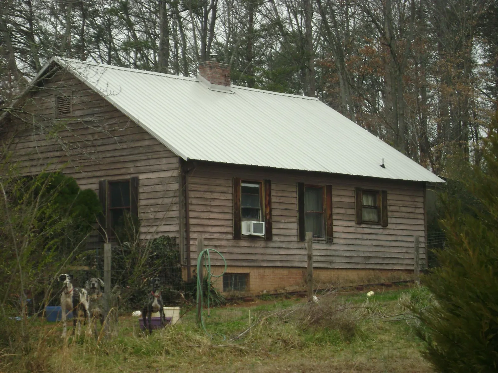 White metal roof on an old wood sided farmhouse, from a Asphalt Shingle Roof Repair job in San Rafael